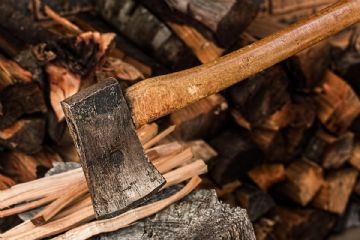 Avviso di manifestazione di interesse per la selezione di operai forestali stagionali